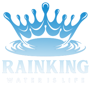 Rain King