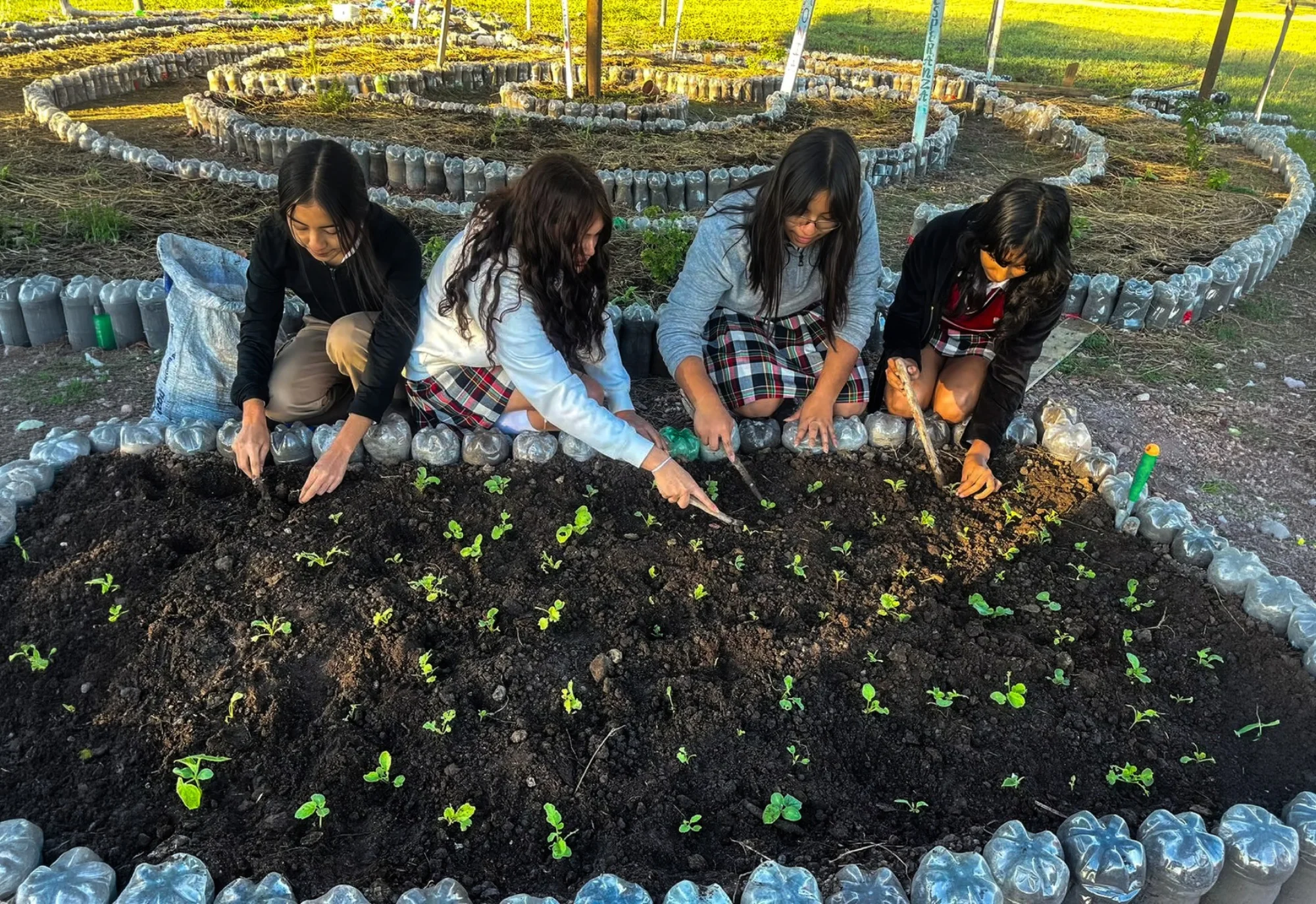 Four girls planting seedlings in a garden bed bordered with plastic bottles, working together outdoors.