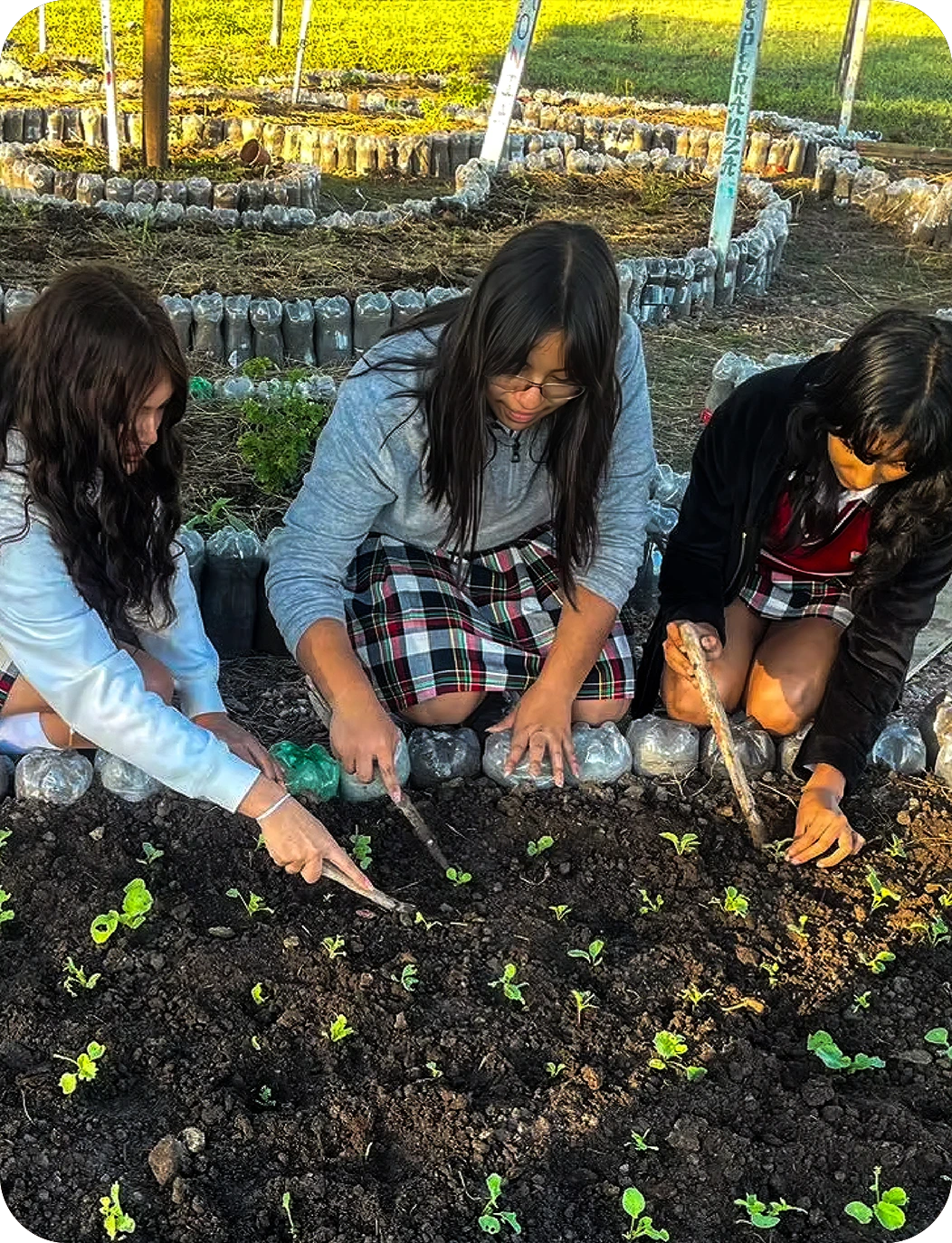 Three girls in plaid skirts plant seedlings in a garden bordered by plastic bottles.