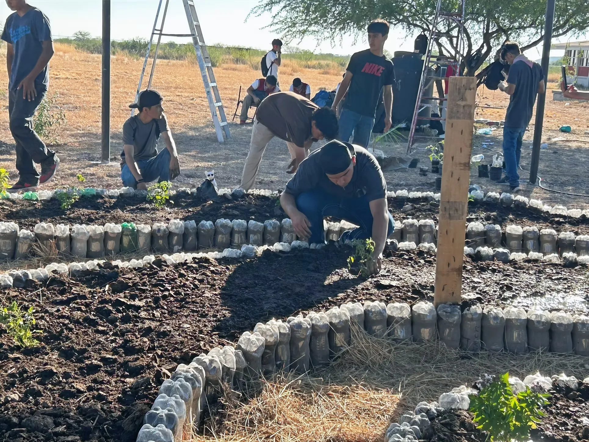People planting seedlings in a garden bed bordered by plastic bottles, outdoors on a sunny day.